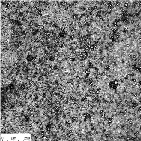 Microscopic photo of the particles found in the Olaz anti-aging cream.