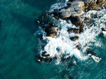 The Plastic Health Coalition gains two new strategic partners