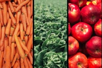 Nieuw wetenschappelijk onderzoek: microplastics dringen groenten en fruit binnen