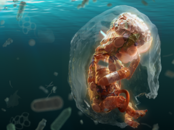 The first Plastic Health Summit in the world